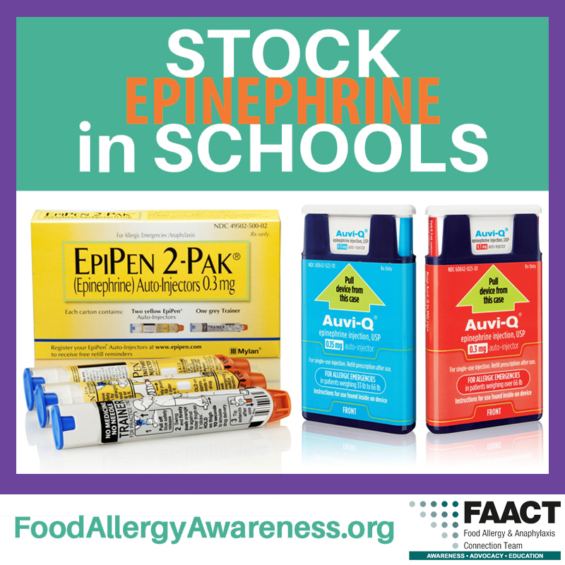 Stock epinephrine in schools